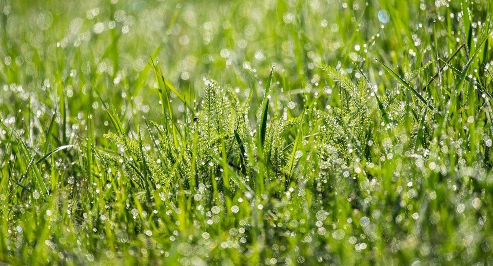    Silas Stein/dpa / www.globallookpress.com