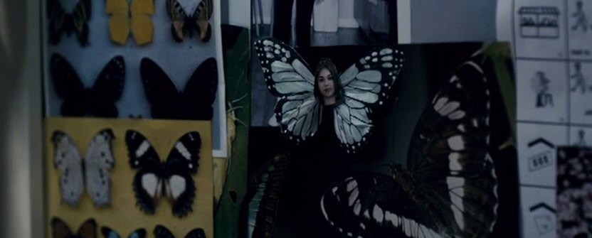 Кадр из фильма «Комната бабочек» (2012) 