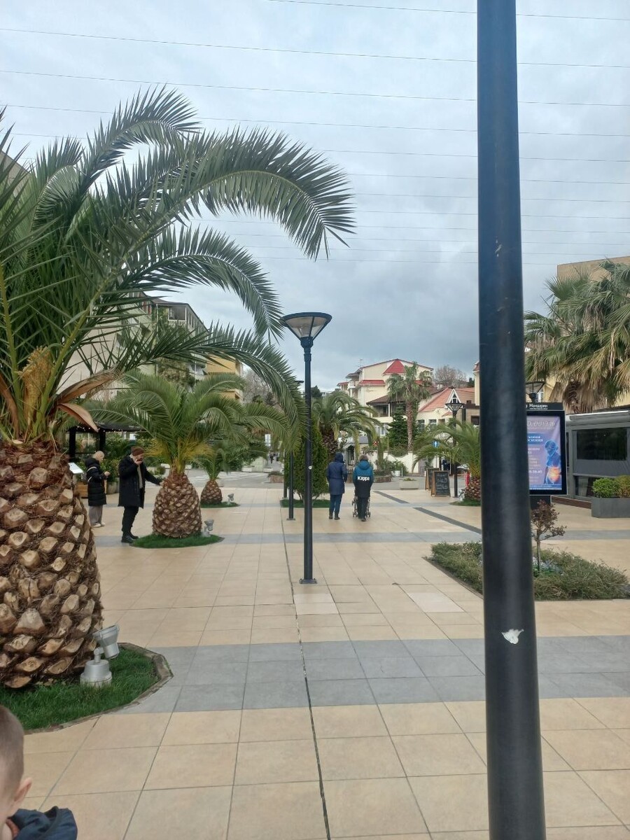    Сочи весной. Источник: Олеся Веселкова / "Толк"