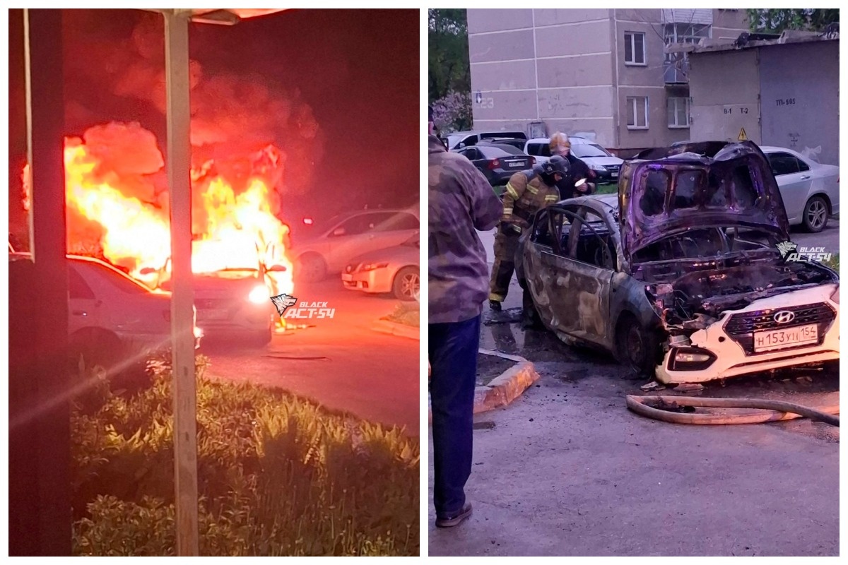    Коллаж: АСТ-54 / Telegeram