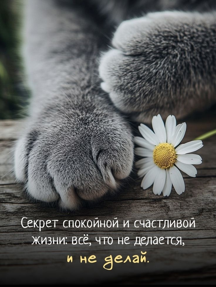 воистину так :)