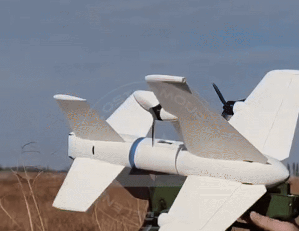    Ещё одна новинка последнего времени: дрон-перехватчик "Ёлка", наводящийся на вражеские дроны алгоритмами машинного зрения. Источник: ТГ-канал "LOSTARMOUR | Carthago delenda est!"