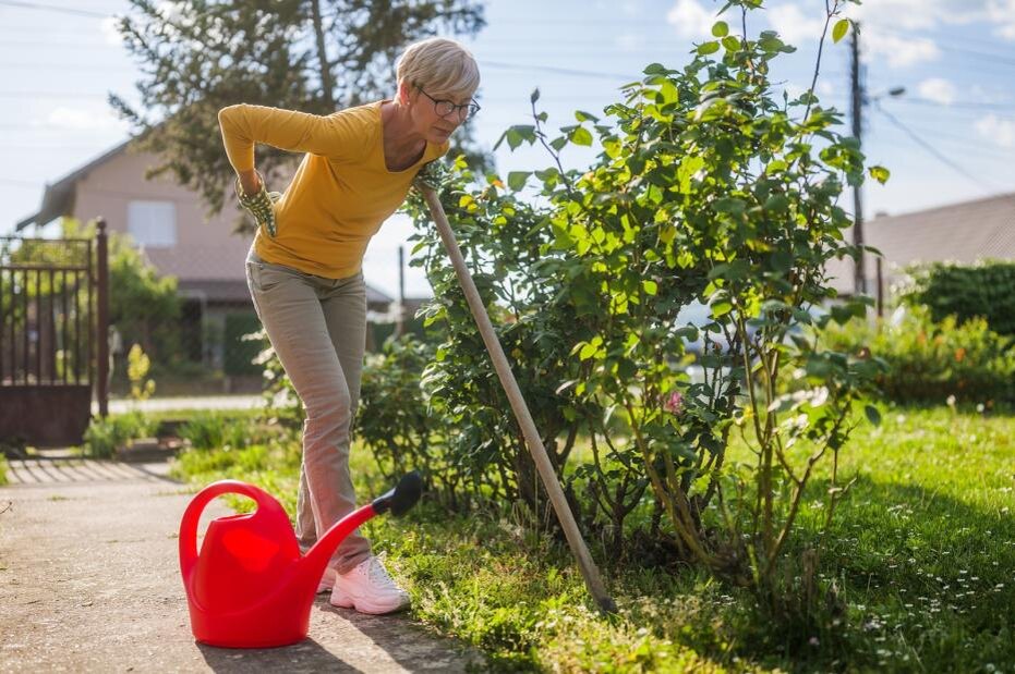    Shutterstock/FOTODOM