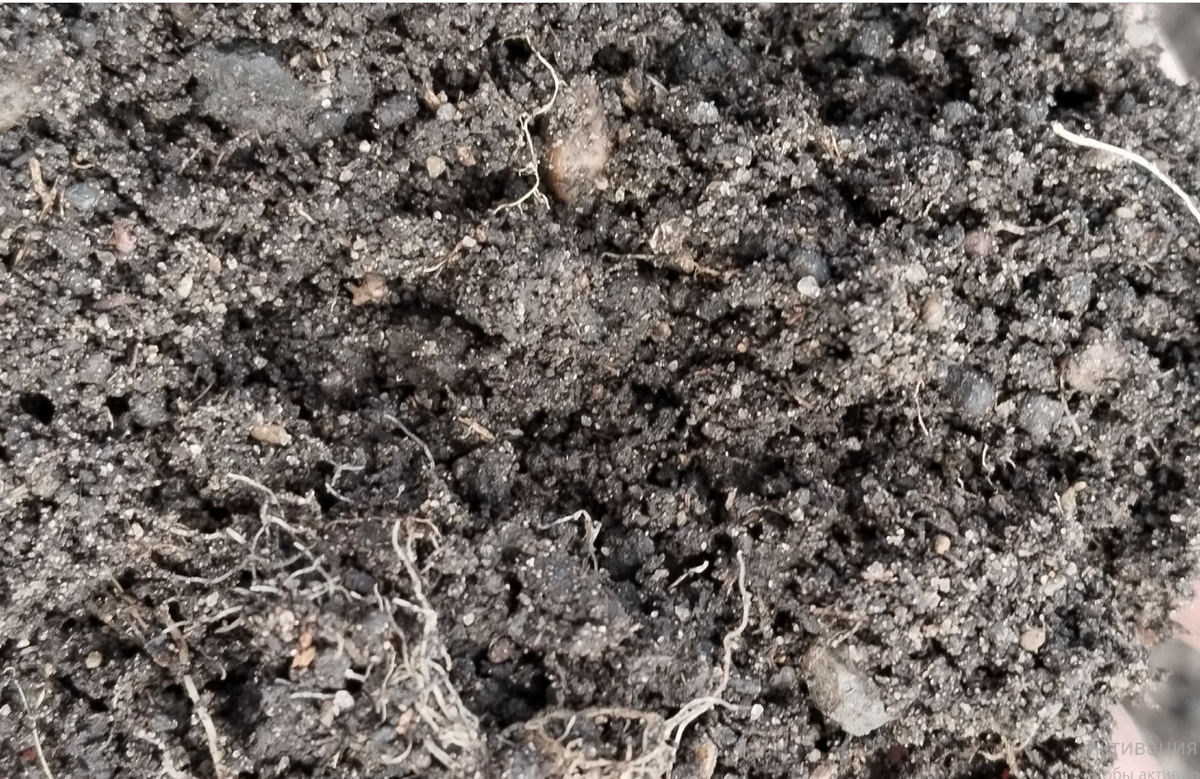 Тяжелый суглинок после внесения песка и большого количества органики становится рыхлым но не структурным.