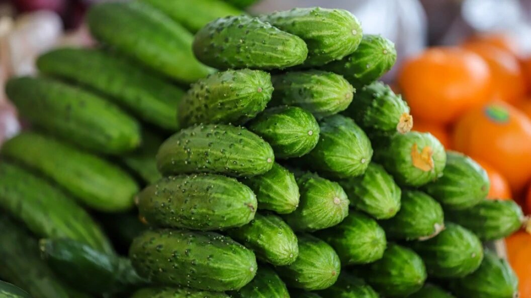    Razmik Zackaryan/URA.RU/Globallookpress