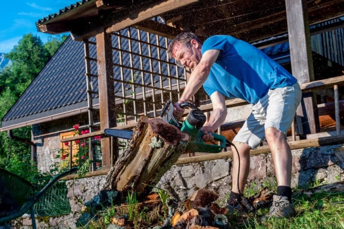    Штрафы за вырубку деревьев зависят от многих обстоятельств.