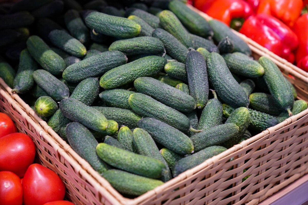     / Источник: © ИЗВЕСТИЯ/Сергей Лантюхов