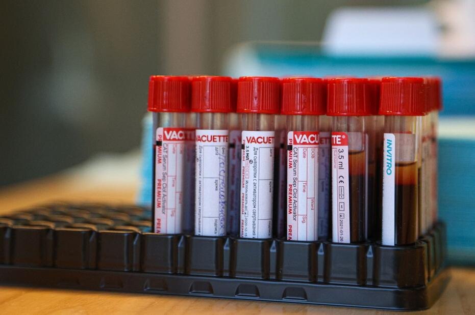    Сергей Булкин/NEWS.ru