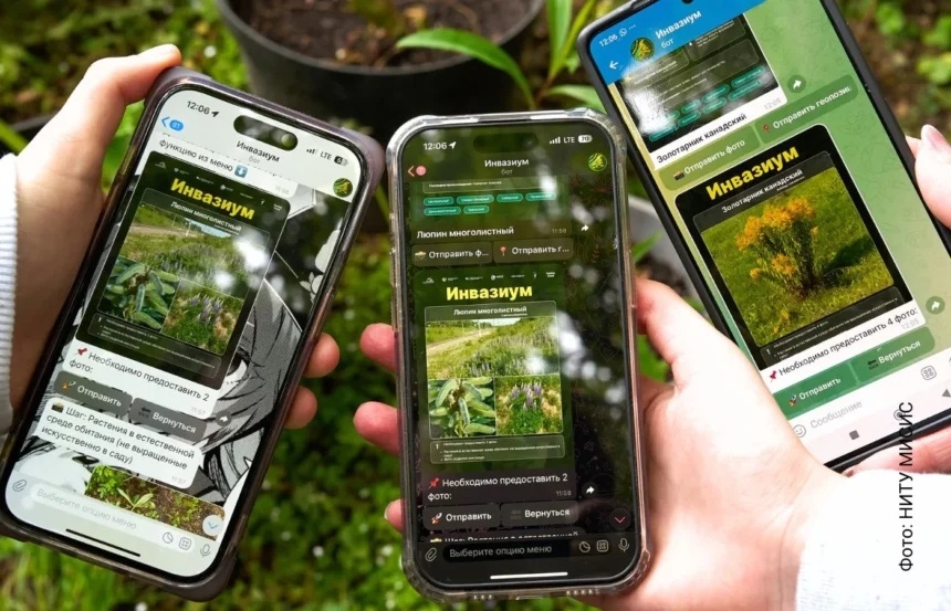 Фото: НИТУ МИСИС