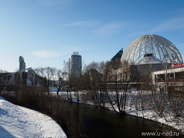 Зимой не видно диких зарослей. Да и у цирка территория была ещё более-менее ухожена