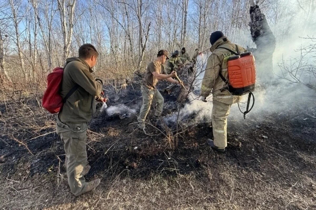    Сотрудники Кроноцкого заповедника на Камчатке потушили лесной пожар