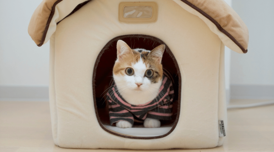 Кошкин домик