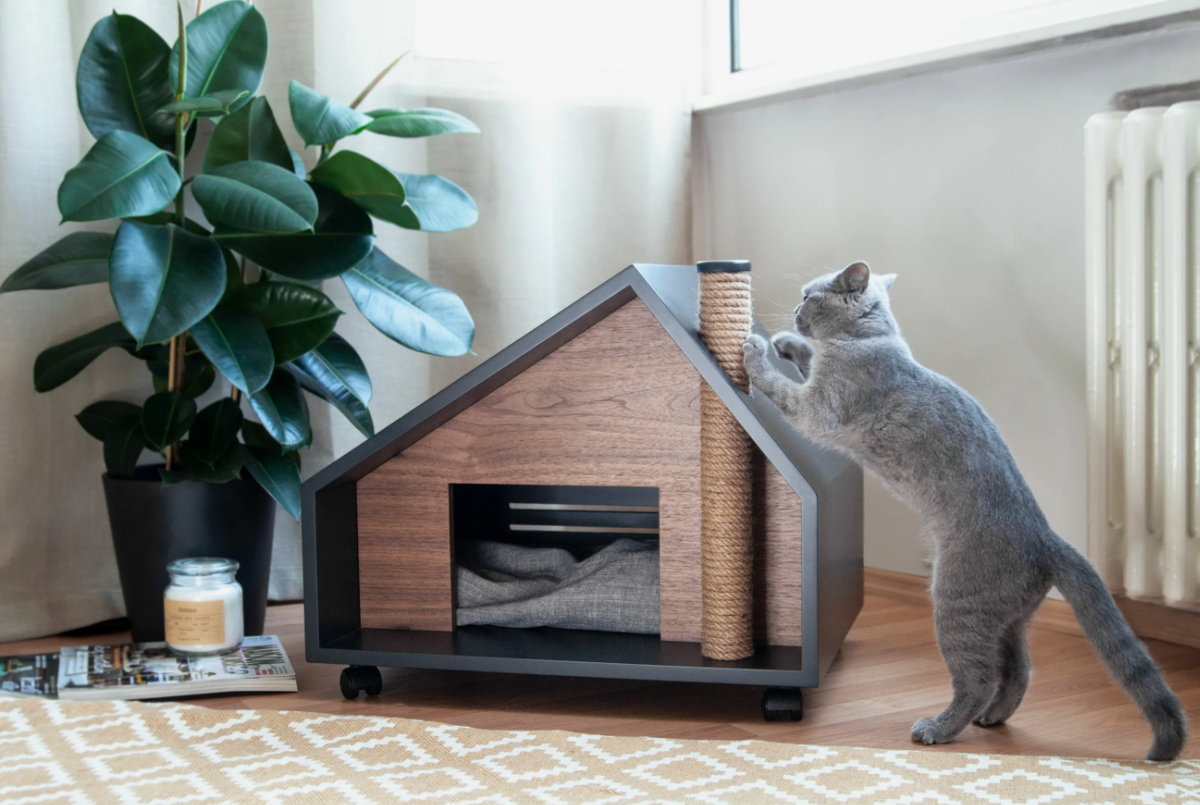 Когтеточка- это важно!