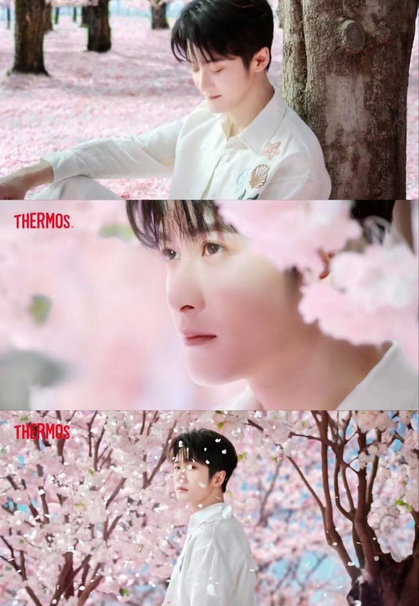 Актёр Тань Цзяньцы.