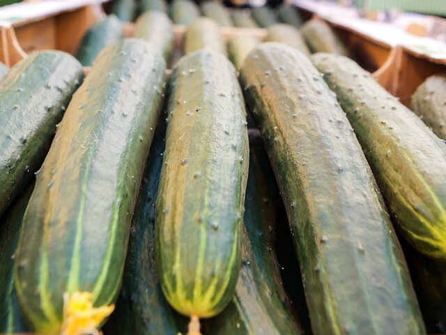    Фото: Москва 24/Лидия Широнина