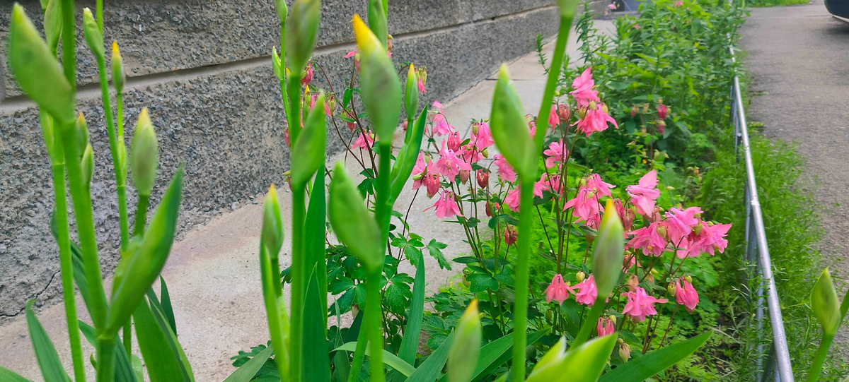 Существует только одна нравственность — это правда, только одна безнравственность — ложь.
Эрнст Фейхтерслебен  