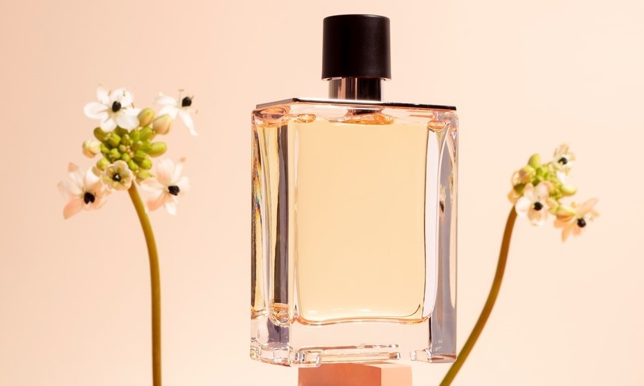    Автор фото: freepik.com