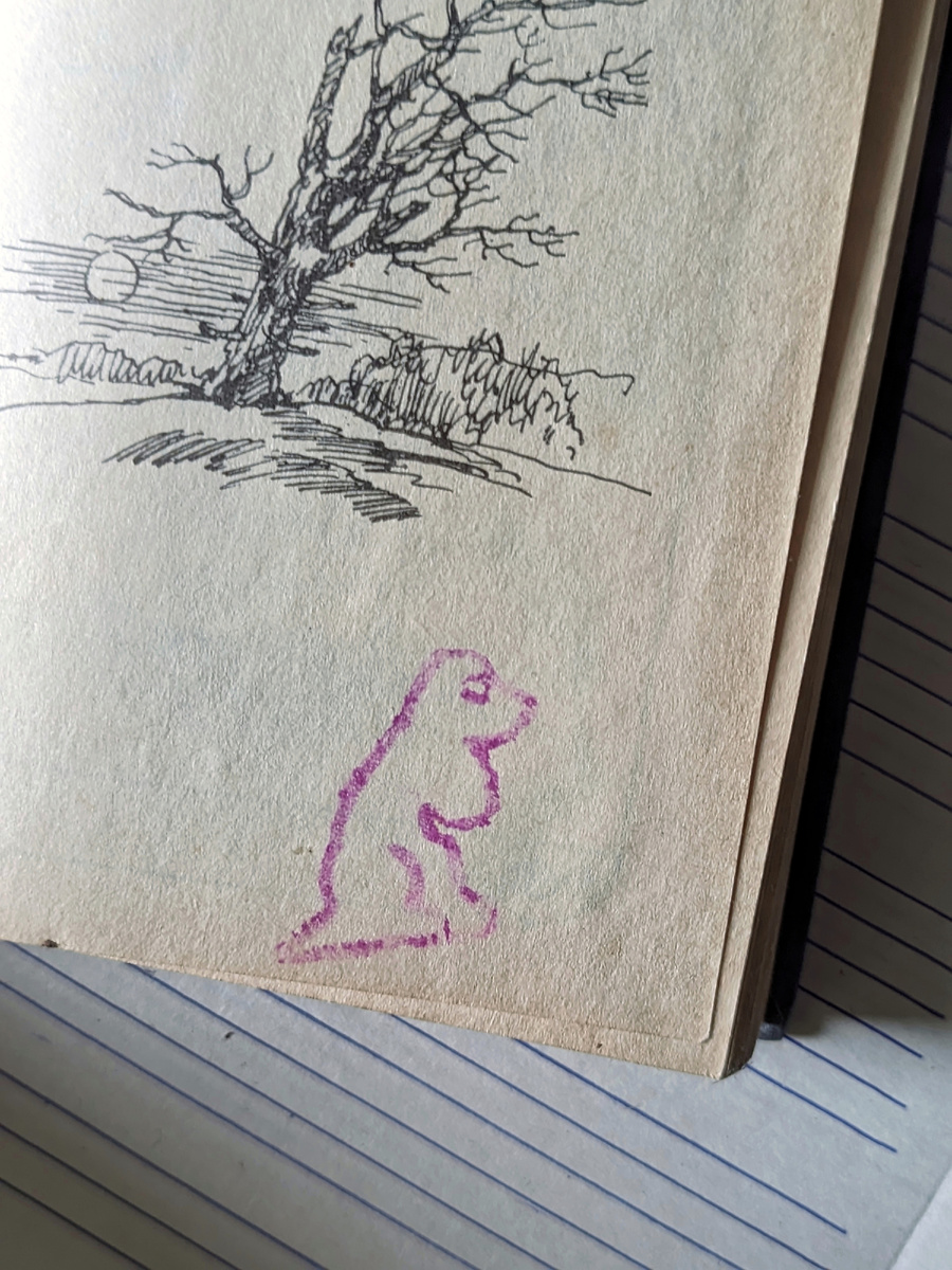 Трогательная книжка Лидии Чарской про девочку Сибирочку полюбилась мне, так что стала моей личной библиотекой.