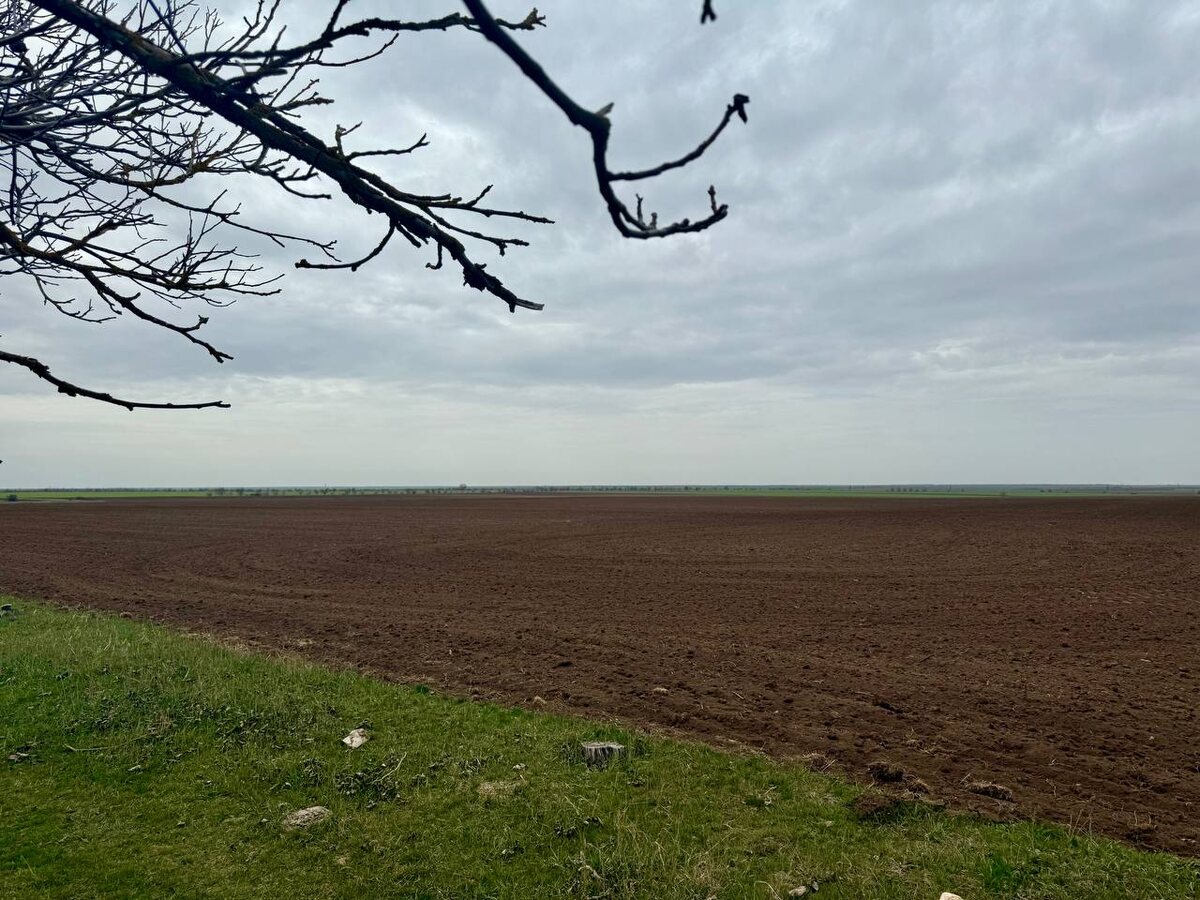    Фото: "Крым 24" Elena Maltseva