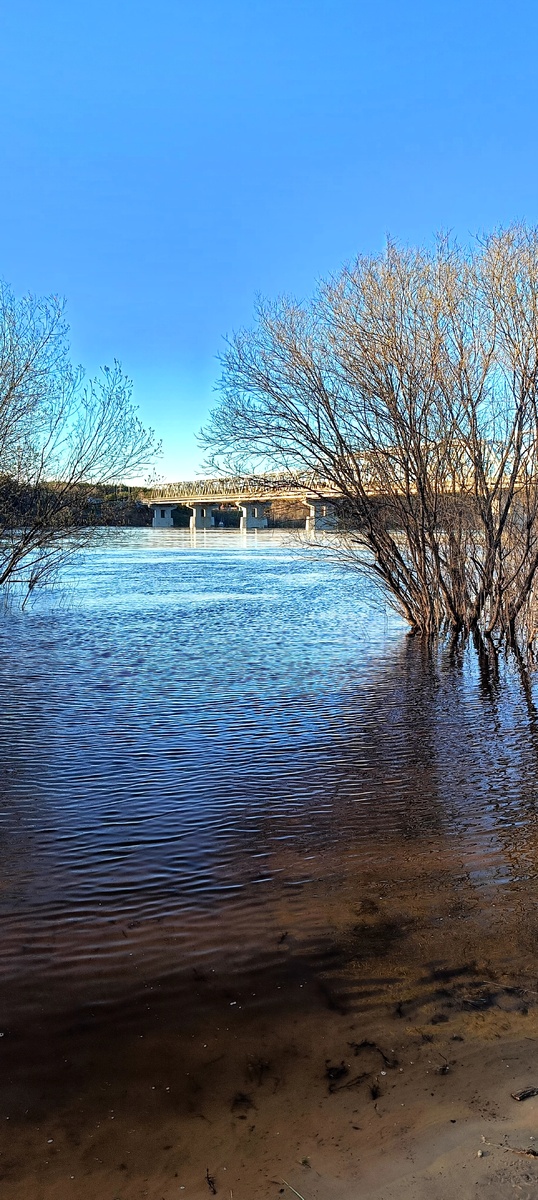 Летом мы высаживались,метров на 40 дальше, от этого куста
