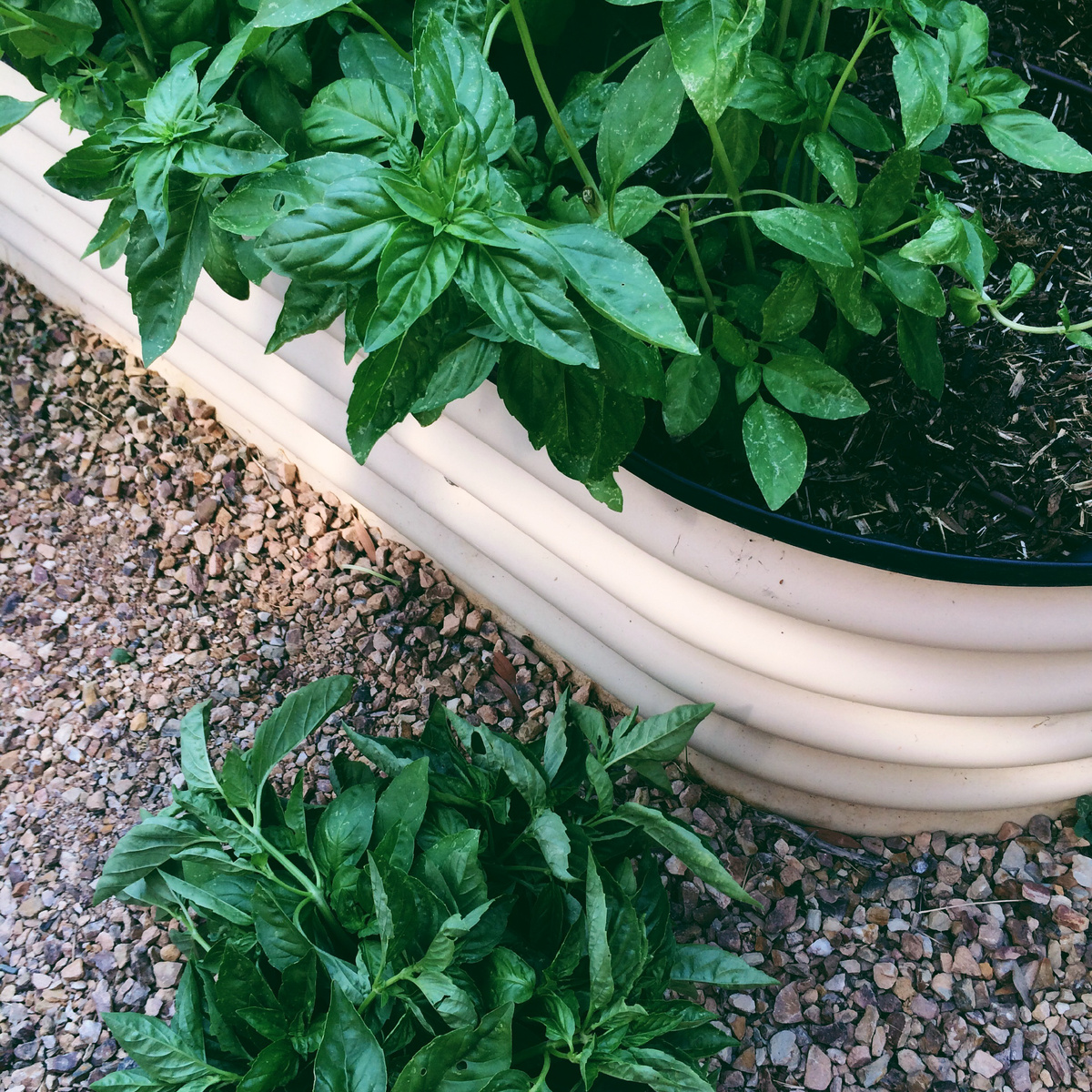 Designed by Freepik. Источник: www.freepik.com