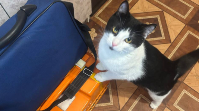 Фото: Пресс-служба правительства Ленинградской области