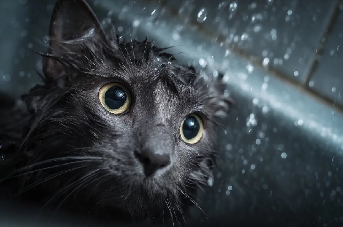    Тысячи саратовцев более суток проведут без воды в мае