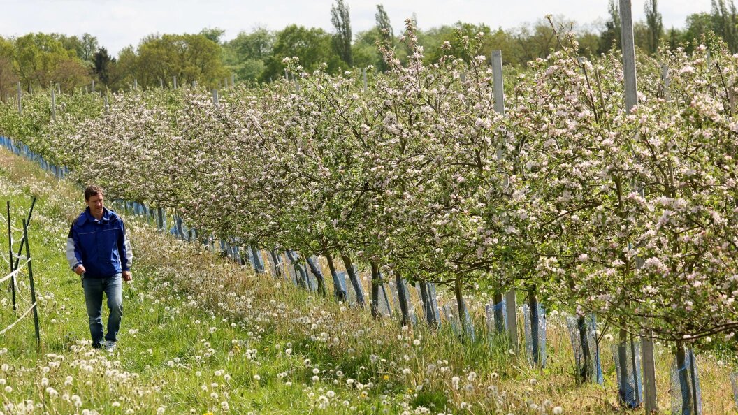    Фото: Bernd Wüstneck/dpa/Globallookpress
