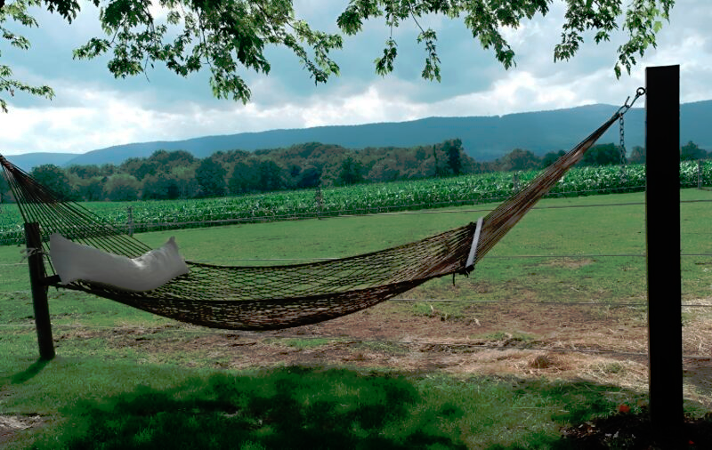 Фотография из свободных источников интернета