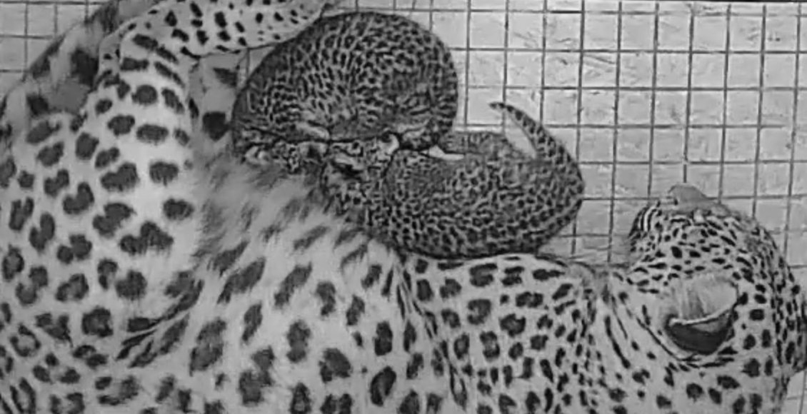    Фото: Минприроды России