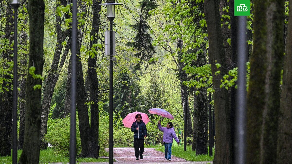    Фото: РИА Новости © 2025, Рамиль Ситдиков