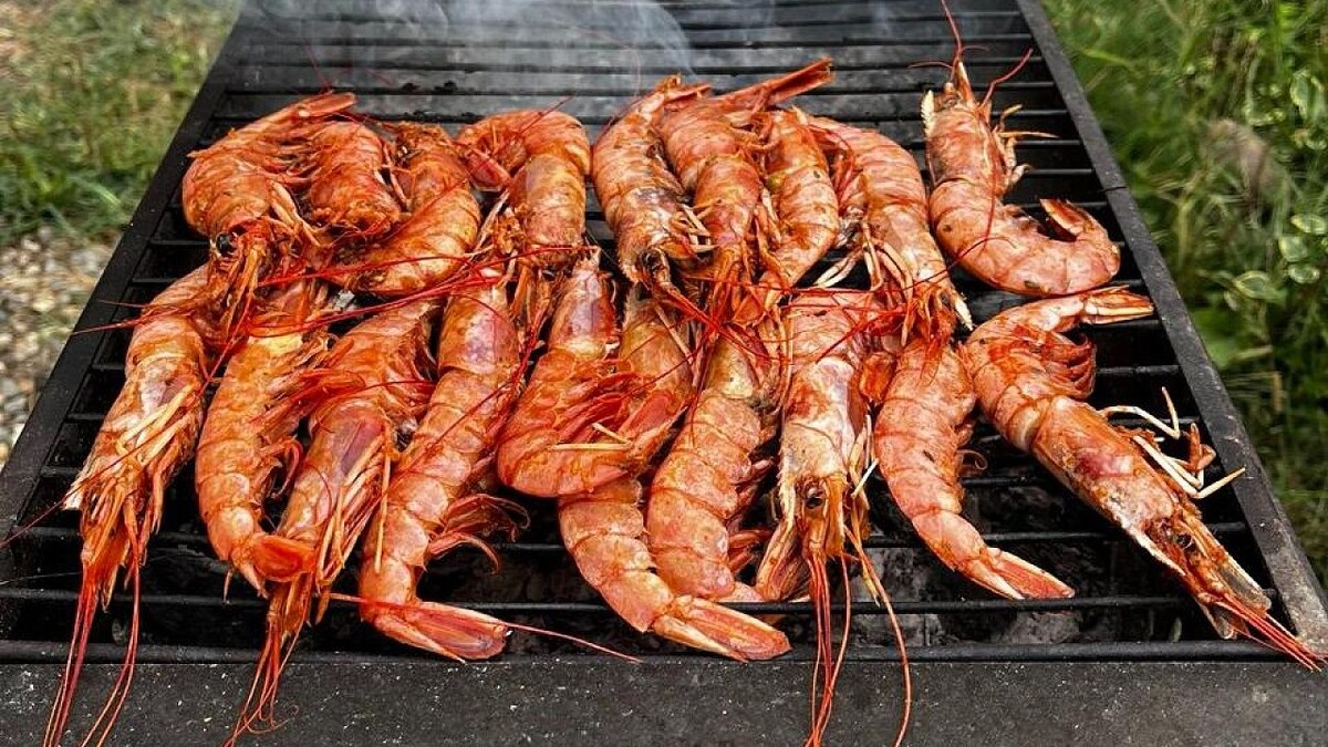    Фото: телеканал «Краснодар»