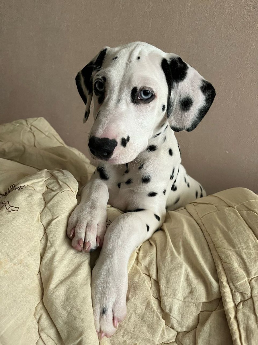 Мегги прислала нам первые тёплые приветы из своего нового дома! 