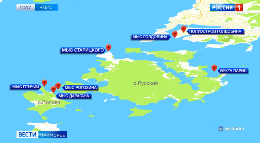    Источник фото: