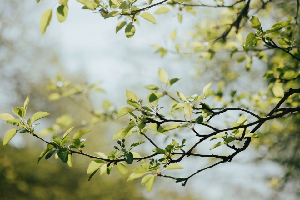    Весна. Погода. Источник: Анна Меньшикова