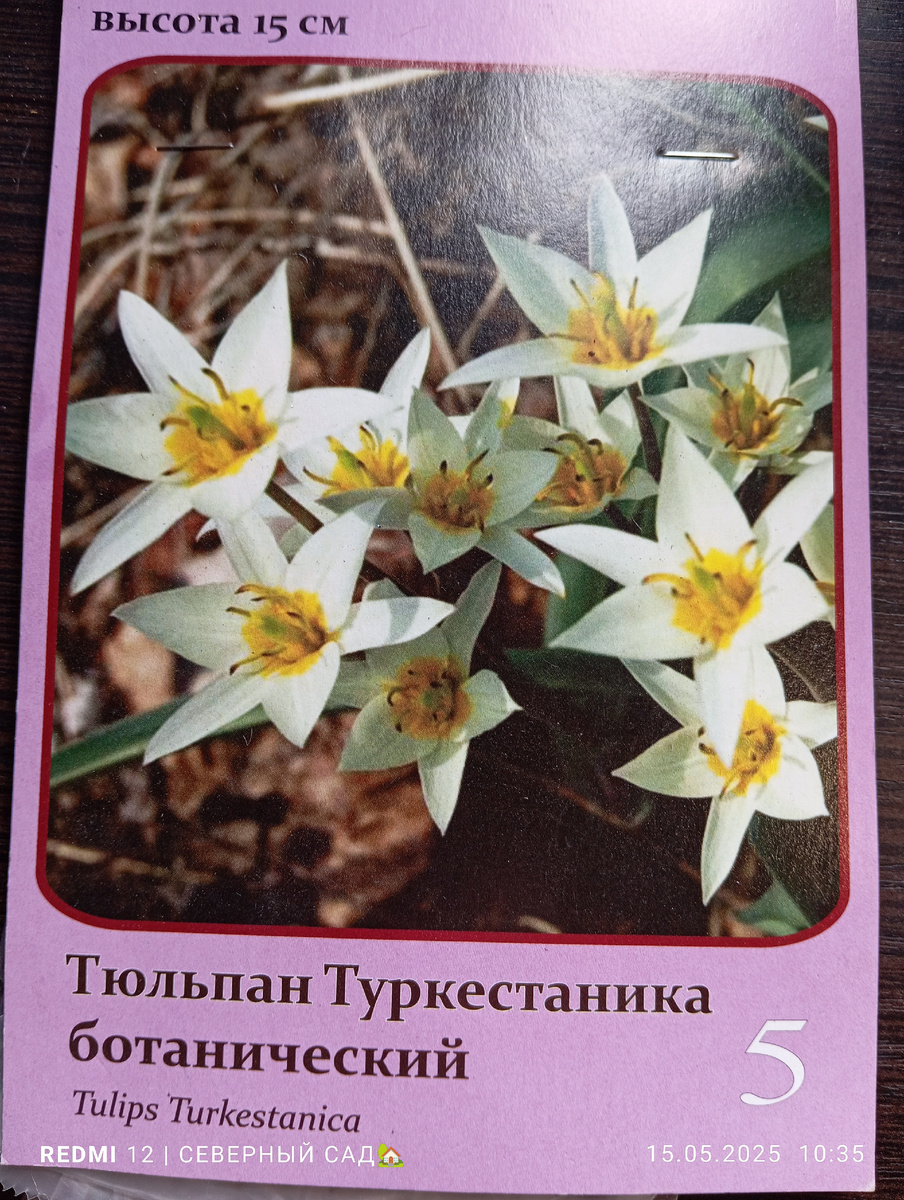 Фото автора. 