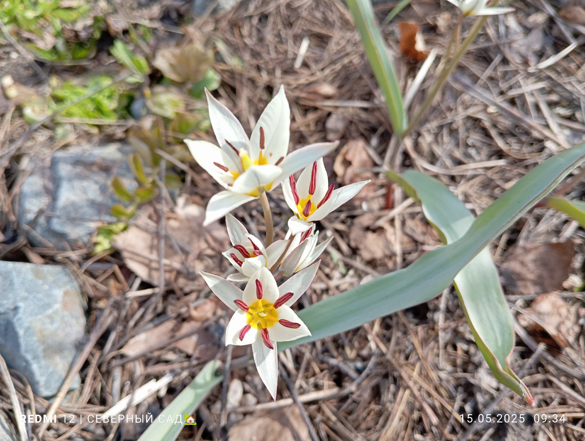 Фото автора. 