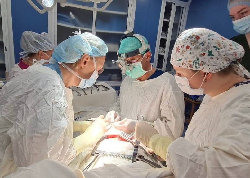    © telegram-канал Дмитрия Махонина