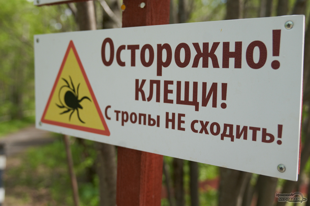    Фото: Лидия Аникина © ИА «Уральский меридиан»