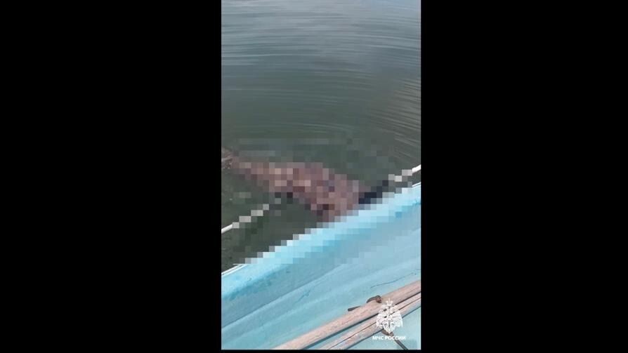     Источник: mchs_vdk