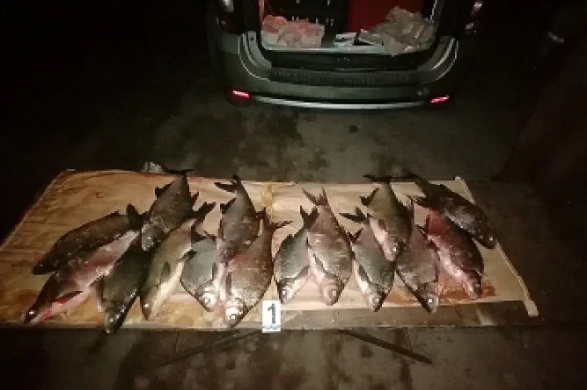    На Дону завели 140 дел на браконьеров