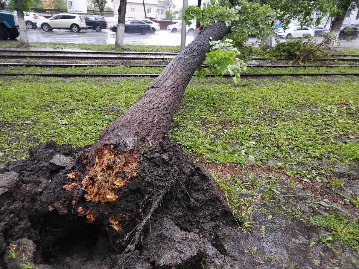    Фото из ТГ-канала sovanews