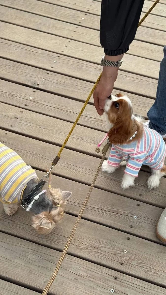 Нора и Боня