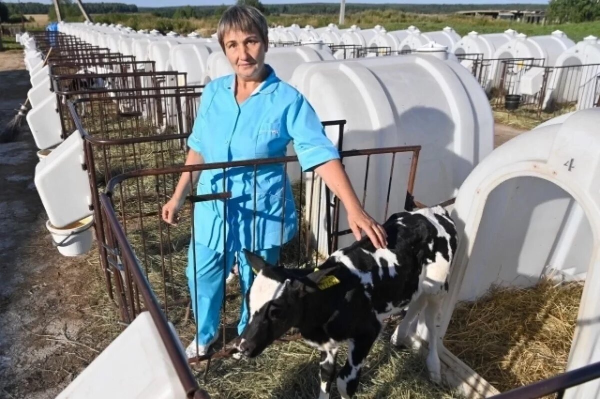    Более 1,5 млрд выделено на развитие сельского хозяйства в Калужской области