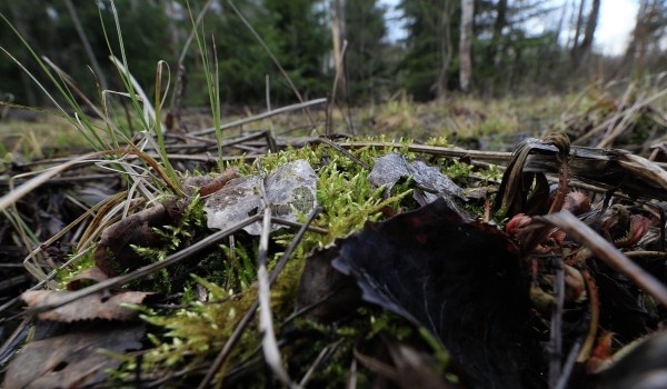 фото: РИА Новости/Антон Денисов