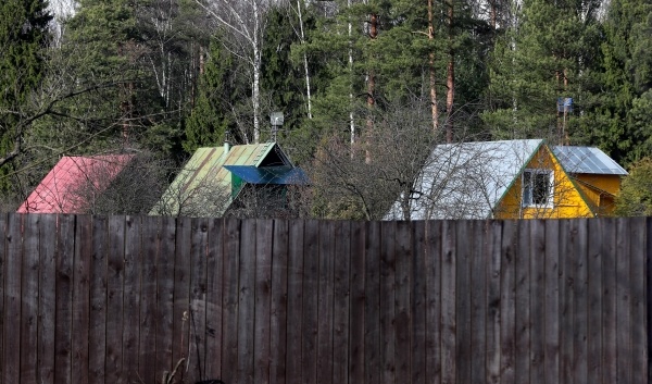 Фото: РИА Новости/Антон Денисов