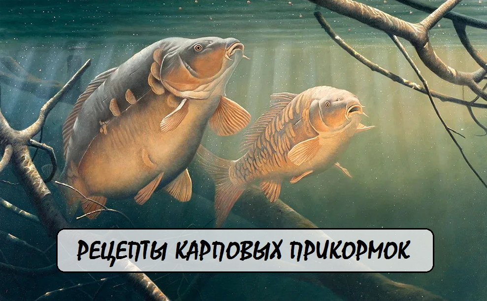 🔍 Ключевые слова для поиска: карповая прикормка, рецепты прикормки для карпа, уловистая прикормка своими руками, лучшие прикормки для карпа, как приманить карпа, дешевая прикормка для рыбалки.