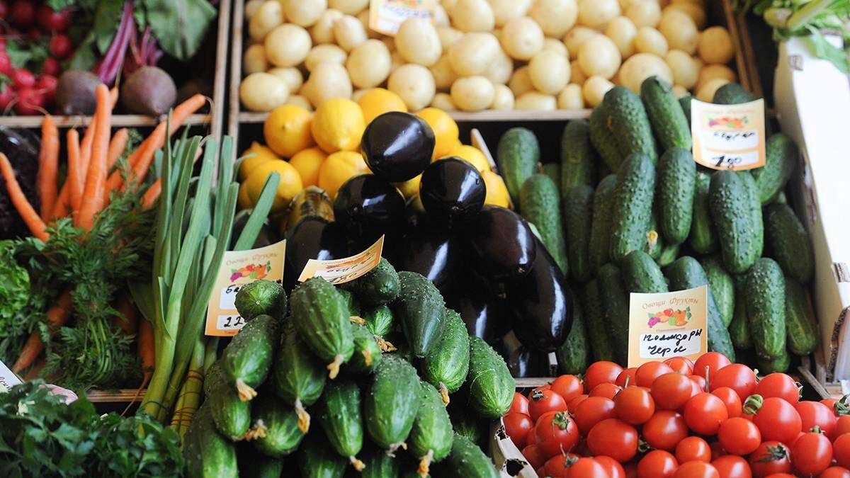    Фото: Андрей Любимов / АГН Москва