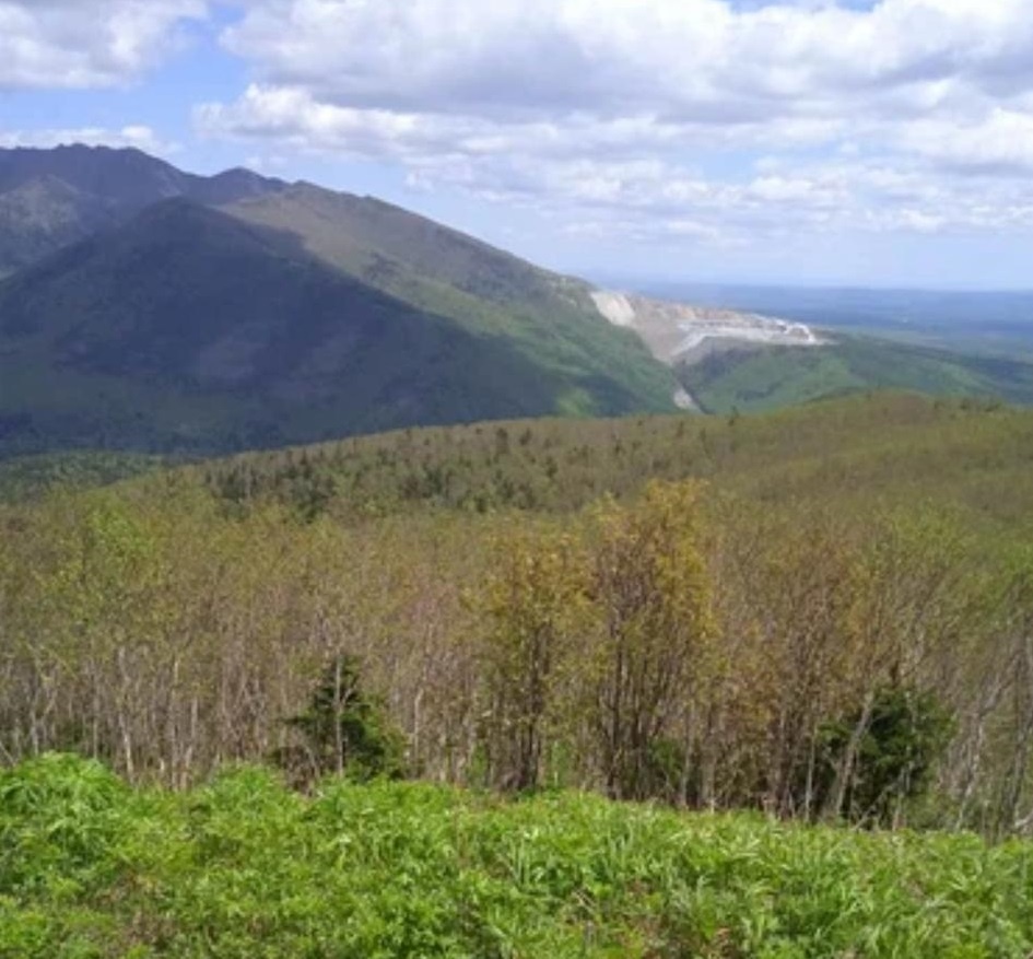 Вид с горы Московской