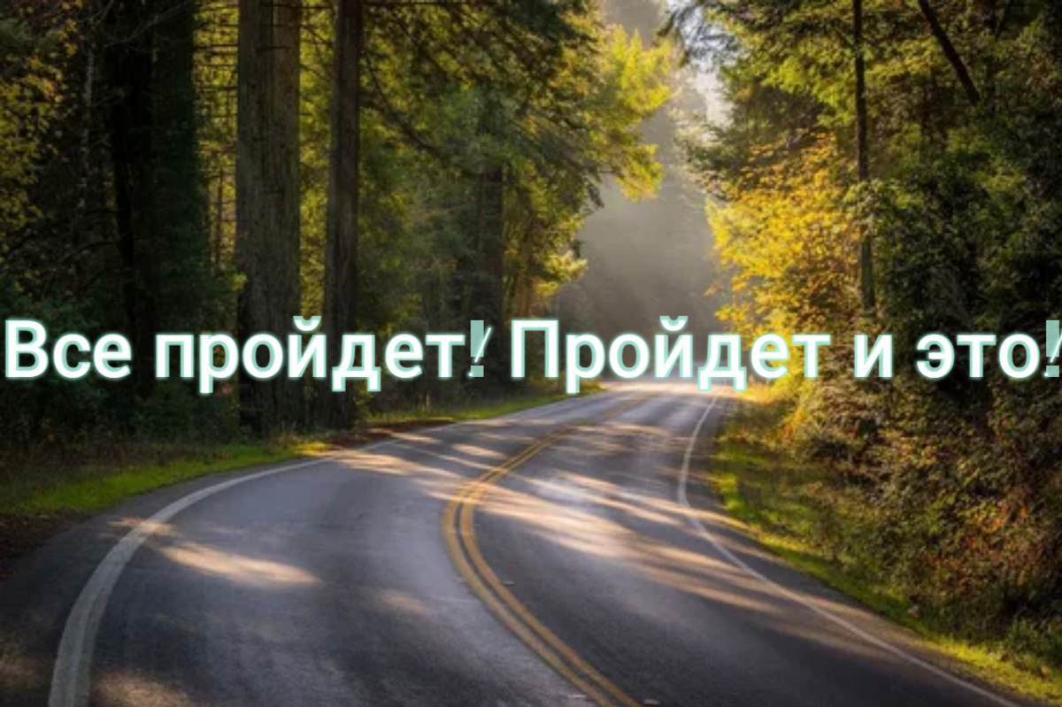 Фото автора. Дорога Жизни